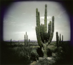 This one's for Jason. He's ready for some warm desert sun! I took this last Spring near Mulege', BCS.