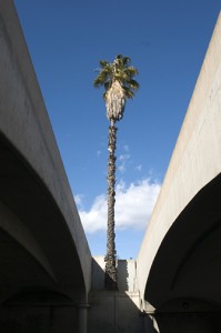 Underneath Highway 101.