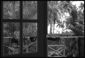 View from the room, Las Galeras,  Samaná Peninsula.