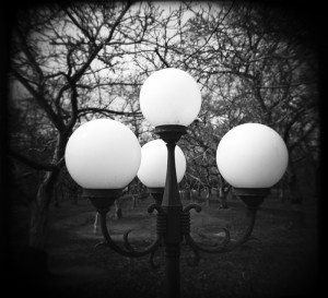 Heading home on 88 at fifty-five miles per hour I saw this lamp right on the edge of an apple orchard. It looked Holgaesgue. Thinking, should I stop? A half mile later I made a U-turn and drove back for this photo.