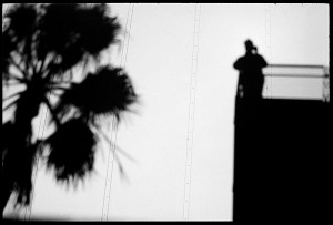 It seemed fitting to have a self portrait with a palm tree in SoCal where palms are ubiquitous.