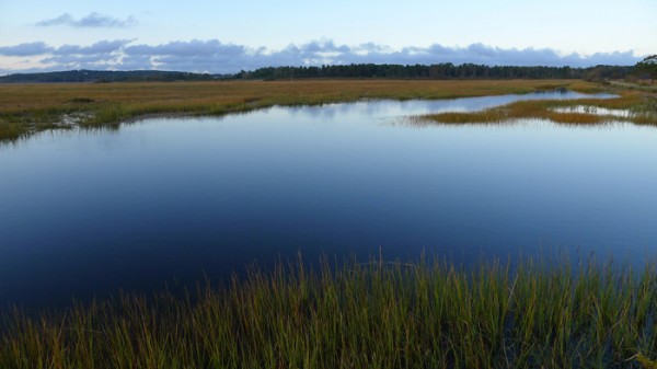 A serene place on this afternoon. We were lucky to catch it after a morning of mostly grey weather.