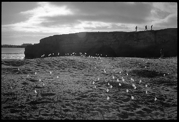 It looked like some kind of art installation. It's part of a native plant restoration project.